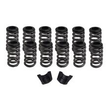 PERFORMANCE SPRINGS WITH LOCKS AND RETAINERS 145LB