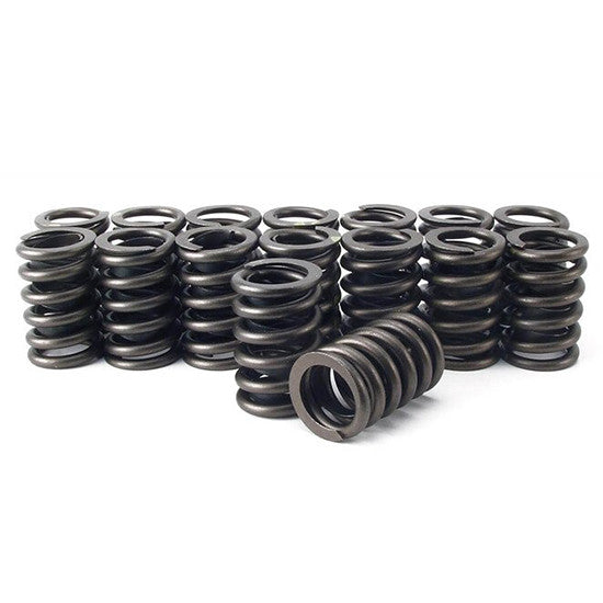 110# Valve Springs - 24V110VS