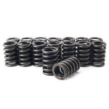 110# Valve Springs - 24V110VS