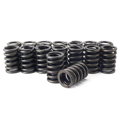 110# Valve Springs - 24V110VS