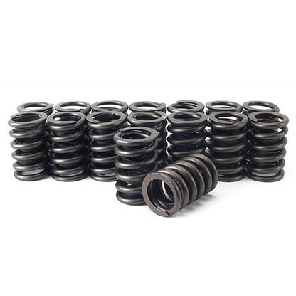 110# Valve Springs - 24V110VS